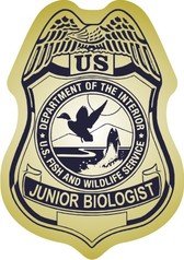 Junior Officer Fish & Wildlife Badge Stickers
