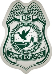 Junior Explorer Badge Stickers