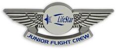 Plastic Junior Pilot Wing Badges