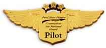 plastic pilot wing badges
