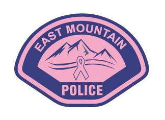 Pink Police Badge Decals