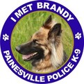 Full Color K 9 Badge Stickers