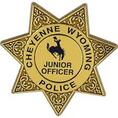 Seven Point Plastic Sheriff Badge