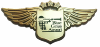 Junior Pilot Wing Badges